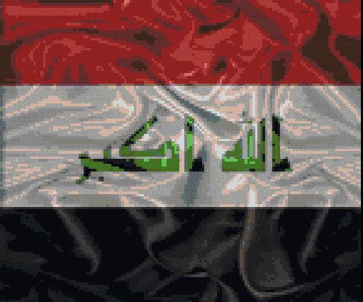 The flag of Iraq. preview